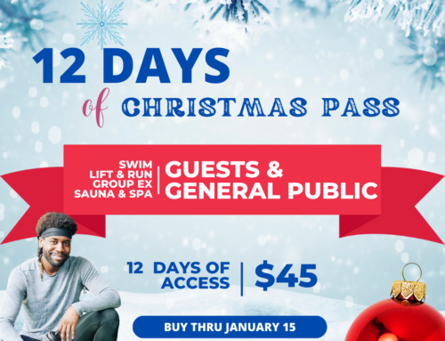 12 Days of Christmas – Visitor Pass